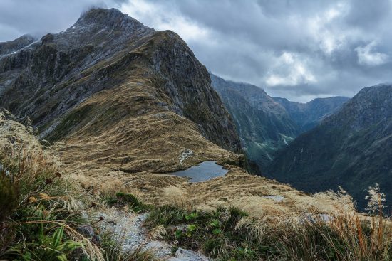 entdecken sie die neuesten nachrichten aus der reisebranche. erfahren sie alles über die besten reiseziele, tipps und trends, die ihre nächste reise unvergesslich machen.