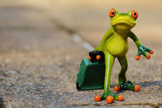 entdecken sie die welt des reisens mit unseren spannenden tipps, aufregenden destinationen und unvergesslichen erlebnissen. planen sie ihre nächste reise und lassen sie sich inspirieren!