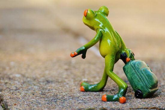 entdecken sie die welt des reisens mit unvergesslichen abenteuern, tipps und inspirationen für ihre nächste reise. von fesselnden destinationen bis hin zu praktischen ratschlägen – alles, was sie für ihre traumreise benötigen!