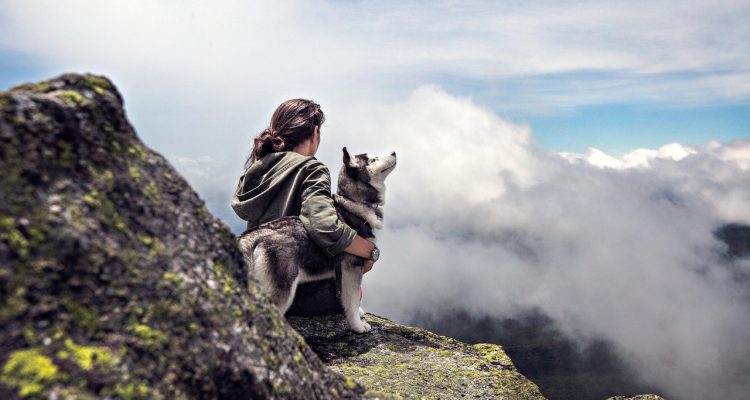 entdecken sie die aufregende welt des backpacking! erleben sie abenteuer, freiheit und die schönheit der natur, während sie fernab der ausgetretenen pfade reisen. ideal für reisende, die neue kulturen und atemberaubende landschaften kennenlernen möchten.