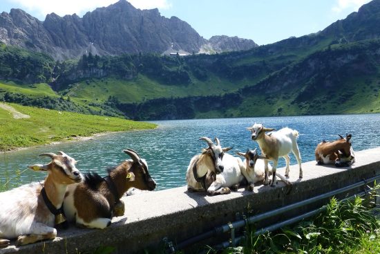 entdecken sie unsere besten reisetipps, um ihre nächste reise unvergesslich zu machen! von packenden empfehlungen bis zu insider-hacks bieten wir wertvolle informationen für ein reibungsloses und bereicherndes reiseerlebnis.