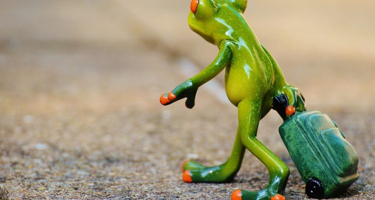 entdecken sie die aufregendsten reiseziele, tipps und inspiration für ihre nächste abenteuerreise. tauchen sie ein in neue kulturen und erleben sie unvergessliche momente auf der welt!