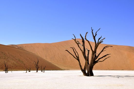 entdecken sie faszinierende reiseziele durch beeindruckende reisefotografie. tipps, inspirationen und techniken für unvergessliche fotos auf ihrer nächsten reise.