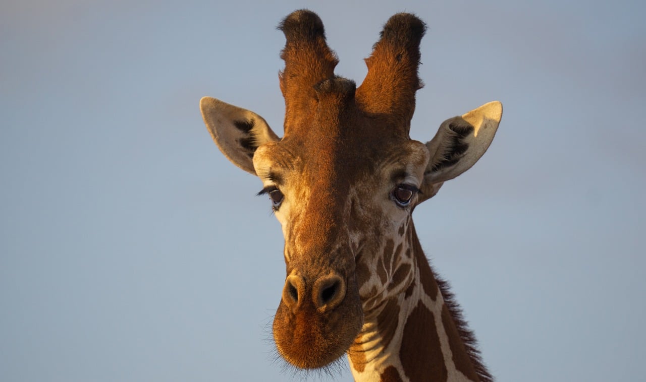 entdecken sie nachhaltigen tourismus! erfahren sie alles über ökotourismus, umweltfreundliche reiseziele und tipps für naturbewusstes reisen in deutschland und weltweit.